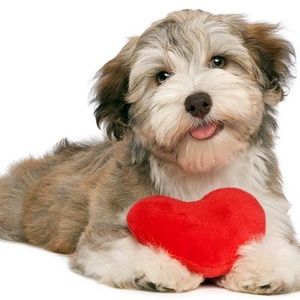 Meet your Posher, Kristie